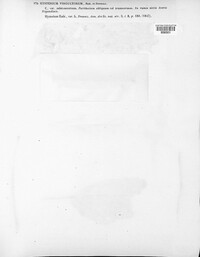 Hypoderma rubi image